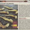 20110712_independant_recette_rancio.jpg